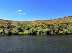 PTPNO - Pinhão, Portugal PC to Antonio Sessa 1.jpg Photo